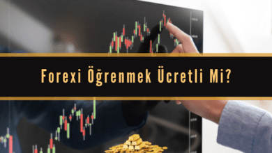 Forexi Öğrenmek Ücretli Mi